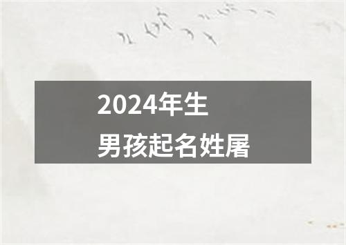 2024年生男孩起名姓屠