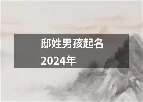 邸姓男孩起名2024年