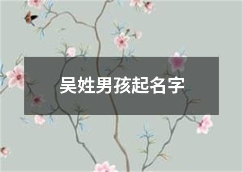 吴姓男孩起名字