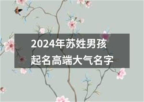 2024年苏姓男孩起名高端大气名字