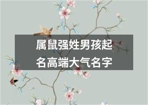 属鼠强姓男孩起名高端大气名字