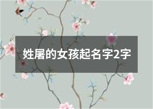 姓屠的女孩起名字2字