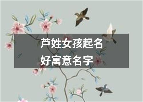 芦姓女孩起名好寓意名字