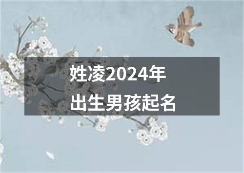 姓凌2024年出生男孩起名