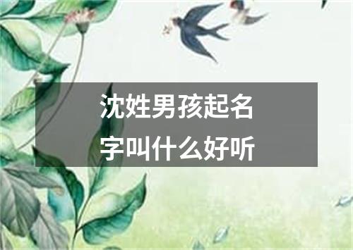 沈姓男孩起名字叫什么好听