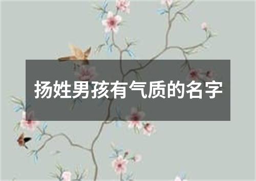 扬姓男孩有气质的名字