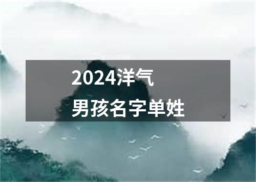 2024洋气男孩名字单姓