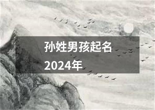 孙姓男孩起名2024年