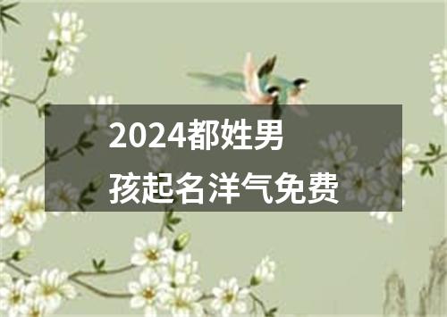 2024都姓男孩起名洋气免费