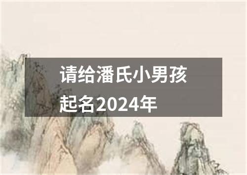 请给潘氏小男孩起名2024年