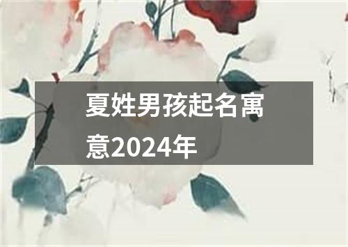 夏姓男孩起名寓意2024年