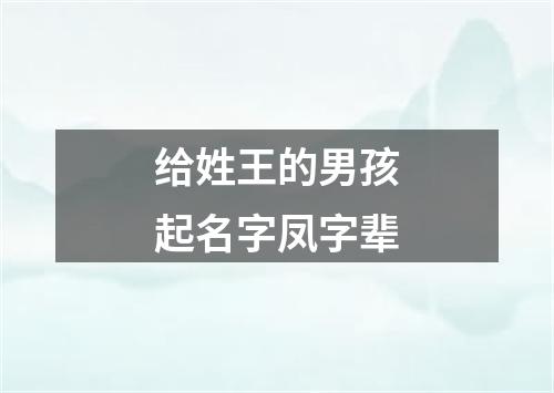 给姓王的男孩起名字凤字辈