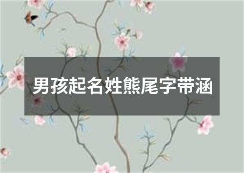 男孩起名姓熊尾字带涵