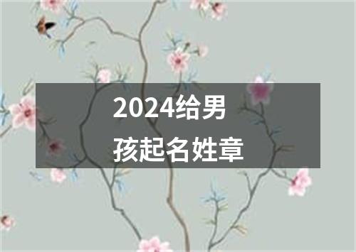 2024给男孩起名姓章