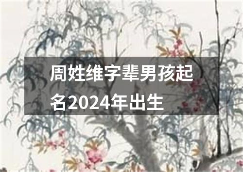 周姓维字辈男孩起名2024年出生