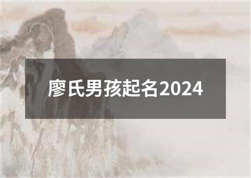 廖氏男孩起名2024