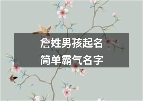 詹姓男孩起名简单霸气名字