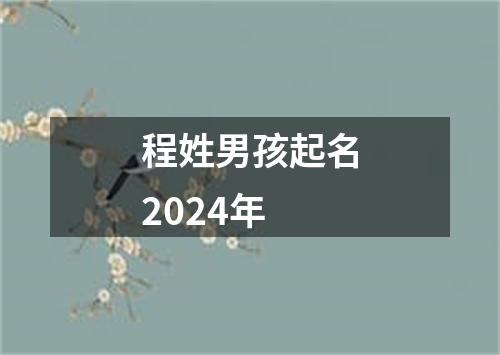 程姓男孩起名2024年