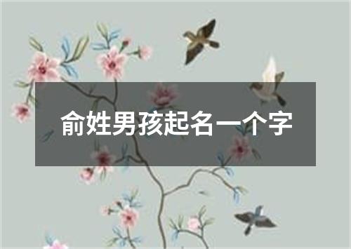 俞姓男孩起名一个字