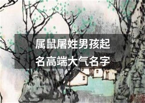 属鼠屠姓男孩起名高端大气名字