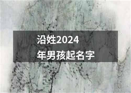 沿姓2024年男孩起名字