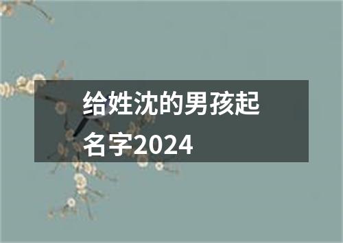 给姓沈的男孩起名字2024