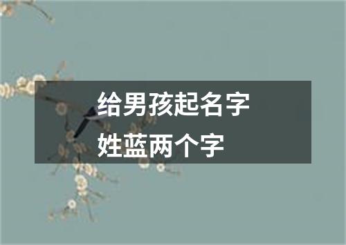 给男孩起名字姓蓝两个字