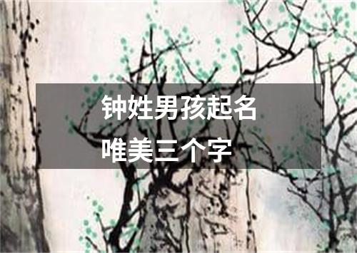 钟姓男孩起名唯美三个字