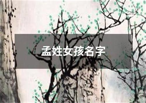 孟姓女孩名字