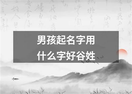 男孩起名字用什么字好谷姓