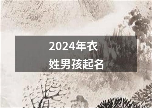 2024年衣姓男孩起名