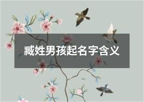 臧姓男孩起名字含义