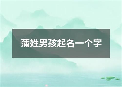 蒲姓男孩起名一个字