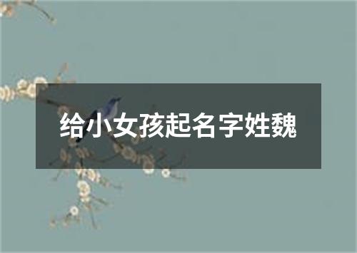 给小女孩起名字姓魏