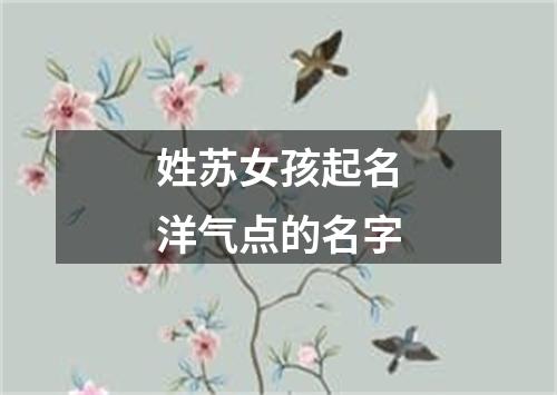 姓苏女孩起名洋气点的名字