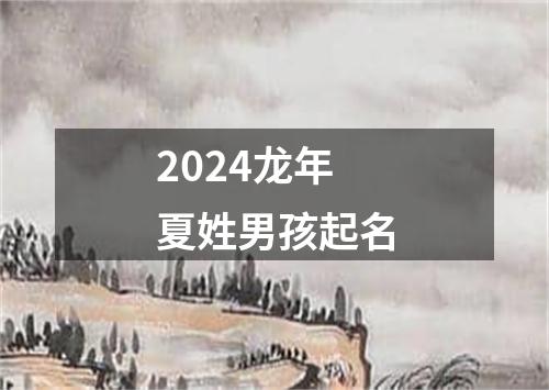 2024龙年夏姓男孩起名