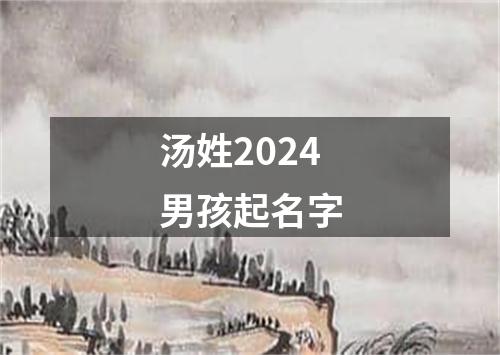 汤姓2024男孩起名字