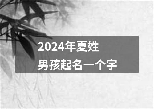 2024年夏姓男孩起名一个字