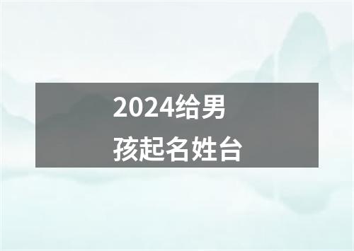 2024给男孩起名姓台