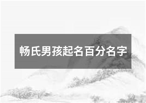 畅氏男孩起名百分名字