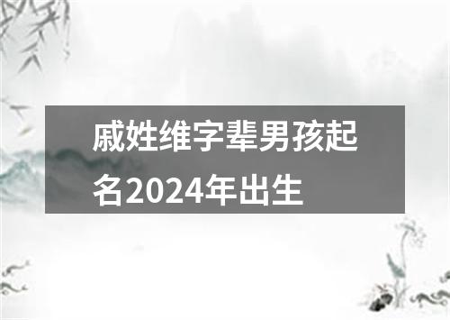 戚姓维字辈男孩起名2024年出生