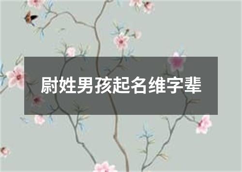 尉姓男孩起名维字辈