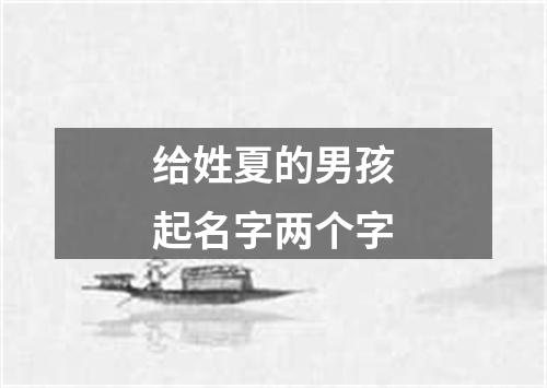 给姓夏的男孩起名字两个字