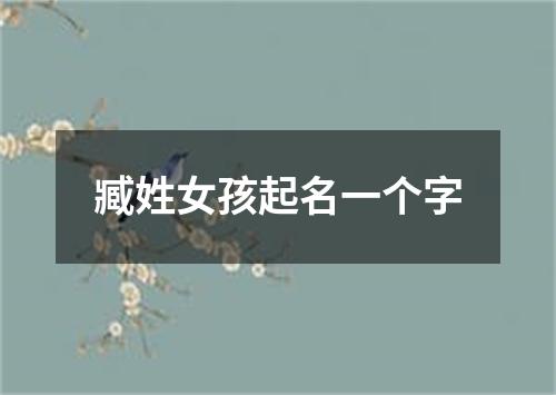 臧姓女孩起名一个字