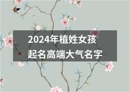 2024年植姓女孩起名高端大气名字