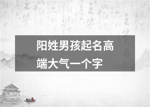 阳姓男孩起名高端大气一个字