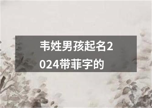 韦姓男孩起名2024带菲字的