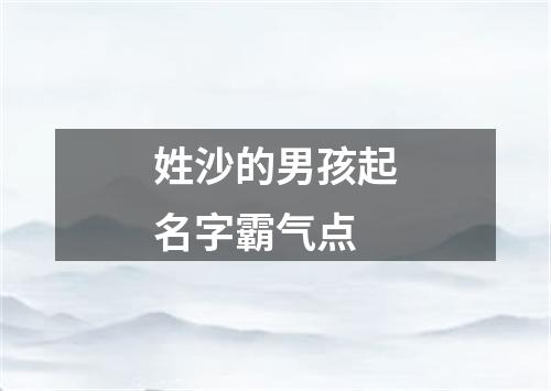 姓沙的男孩起名字霸气点