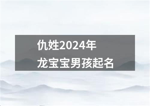 仇姓2024年龙宝宝男孩起名