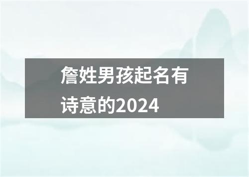 詹姓男孩起名有诗意的2024